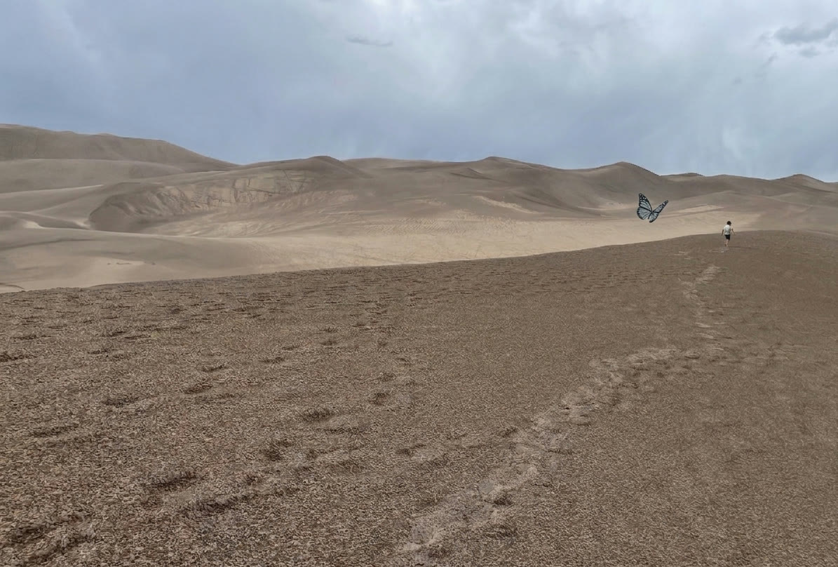 A child walking up a path on the Great Sand Dunes as a butterfly takes flight nearby